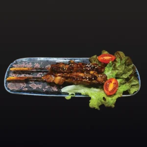 V12) Yakitori Spieße 2 Stk.